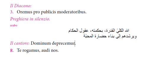 Pope Francis x 30 Arabic prayer