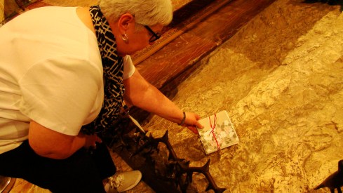 0 Star 14388058606_87c877b65d_b