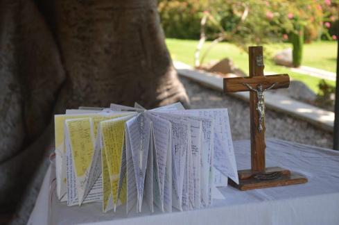 0 Star DSC_0600 1 - Copy