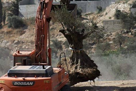 082115 11863381_963223780367355_5182635012311596106_n